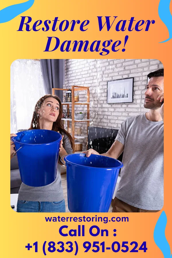 water restoration Vigilant Flood Recovery Solutions Colesburg